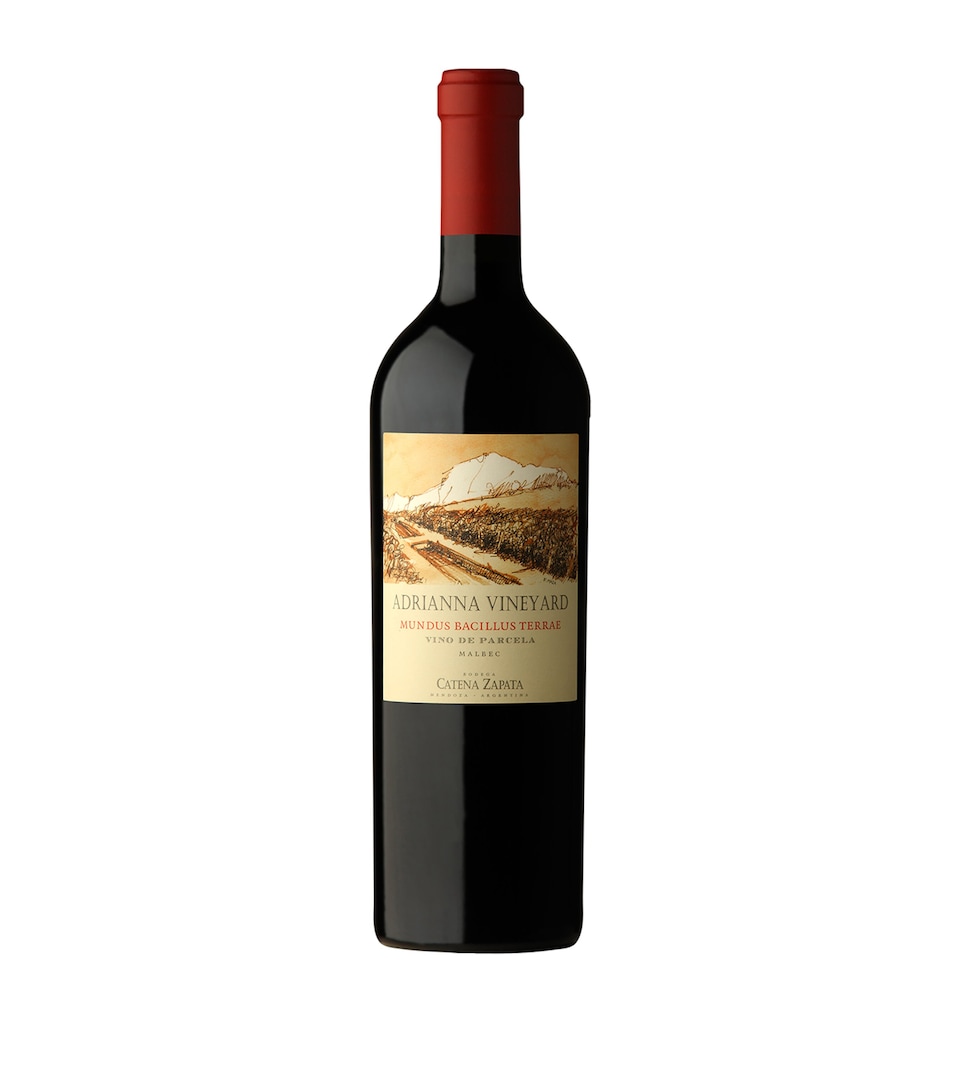 Mundus Bacillus Terra Malbec (2021) - Mendoza, Argentina