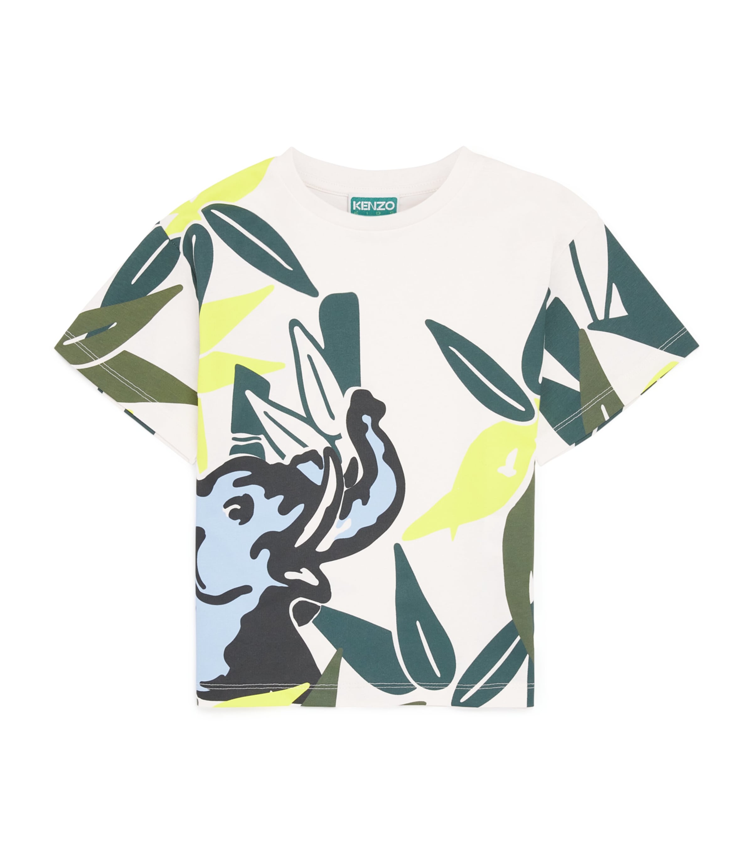 Cotton Graphic T-Shirt (2-14 Years)