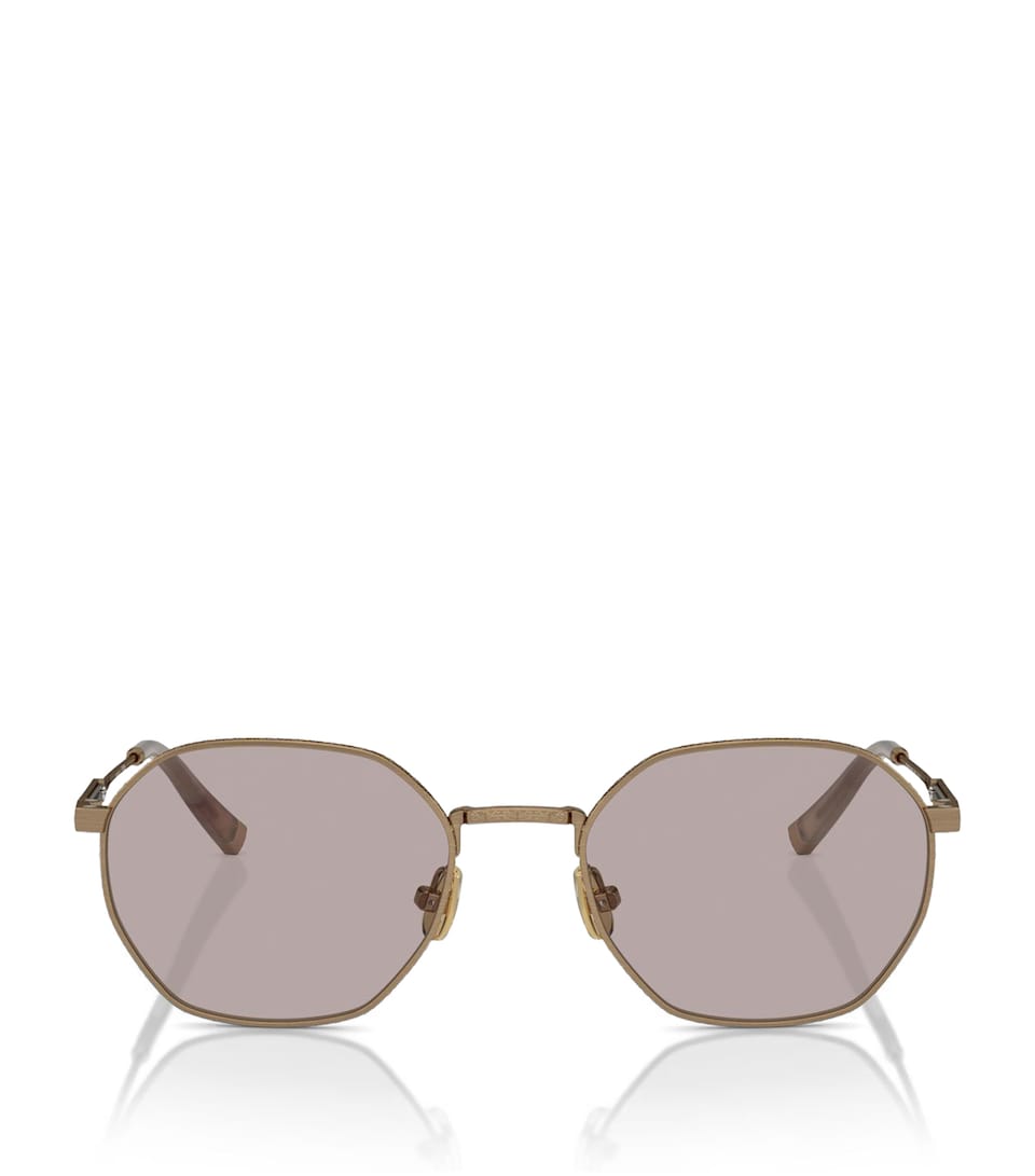Brunello Cucinelli Titanium BC2003ST Sunglasses
