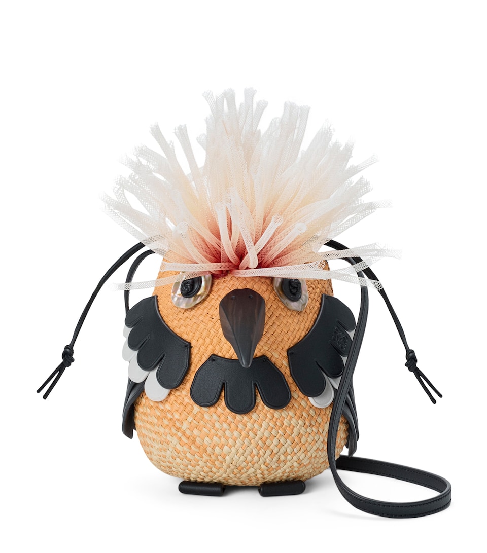 LOEWE x Paula's Ibiza Iraca Palm-Leather Bird Shoulder Bag Orange