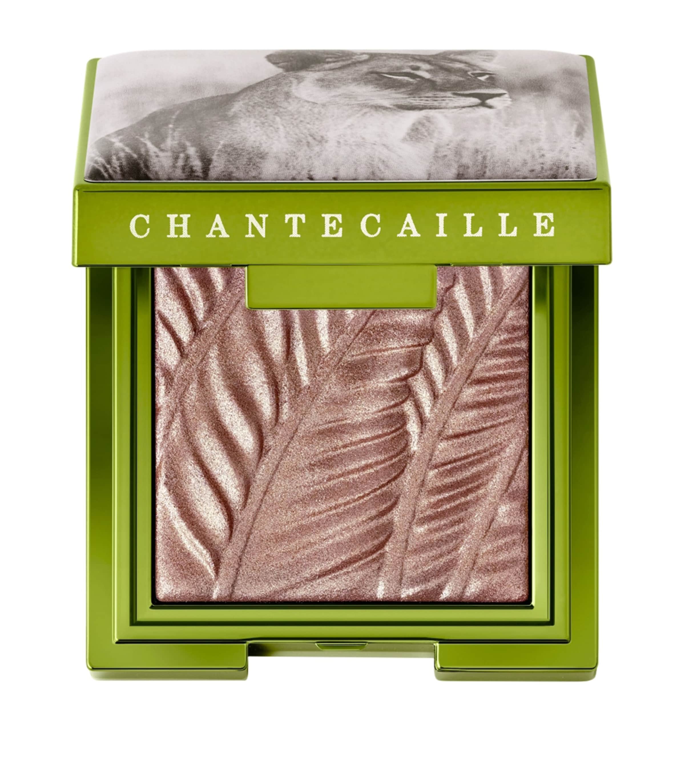 Chantecaille Luminescent Eye Shade Selenkay