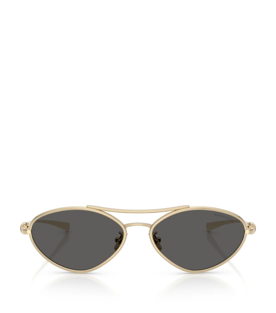 Metal Irregular TF3117 Sunglasses