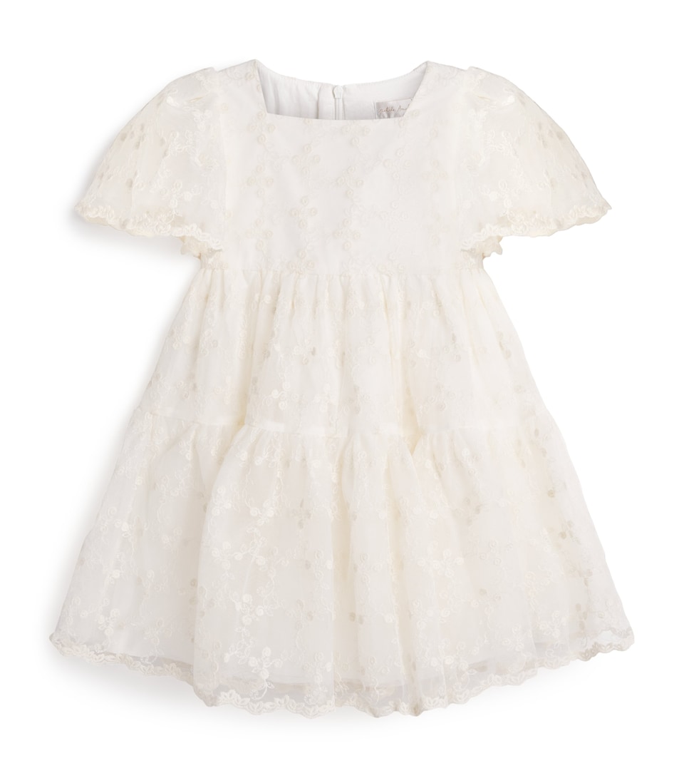 Organza Embroidered Dress (4-16 Years)