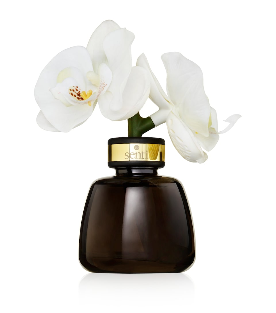 Pepper & Spice The Little Orchid Diffuser (100ml)