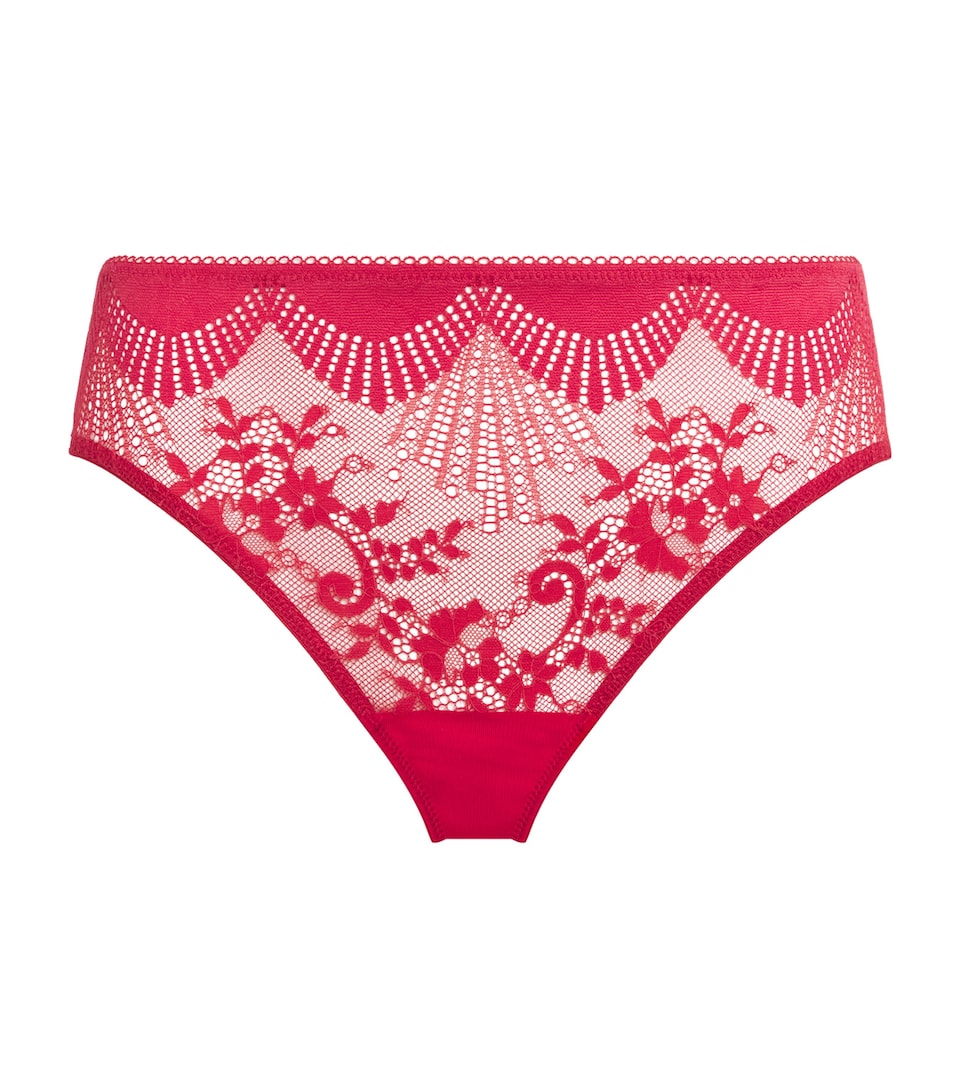 Stretch-Lace Sensu Briefs