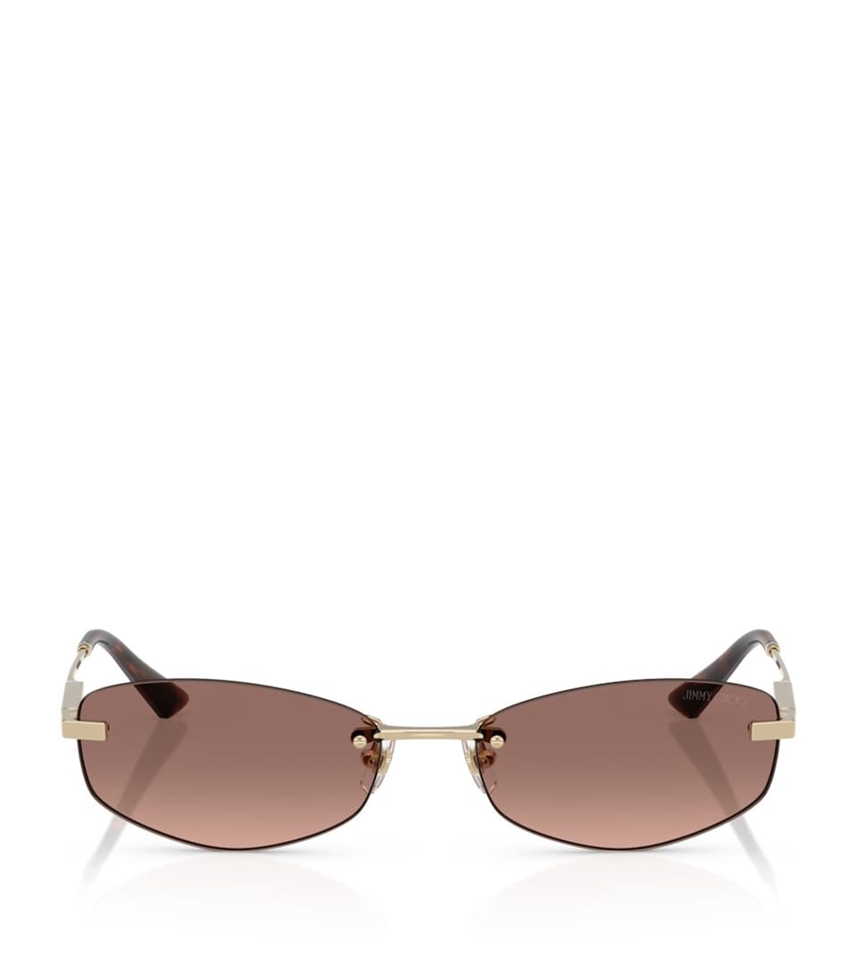 Wire Oval Sunglasses