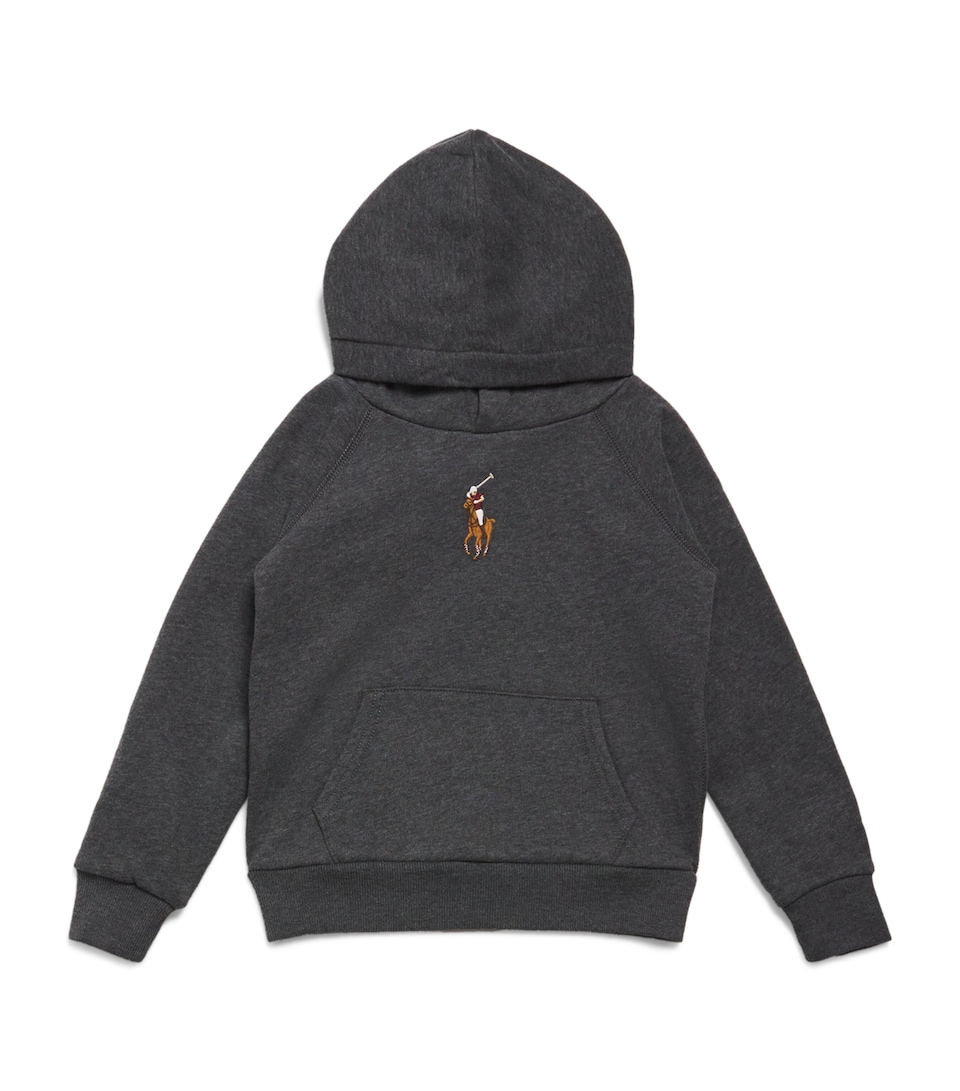 Big Pony Logo Hoodie (2-6+ Years)