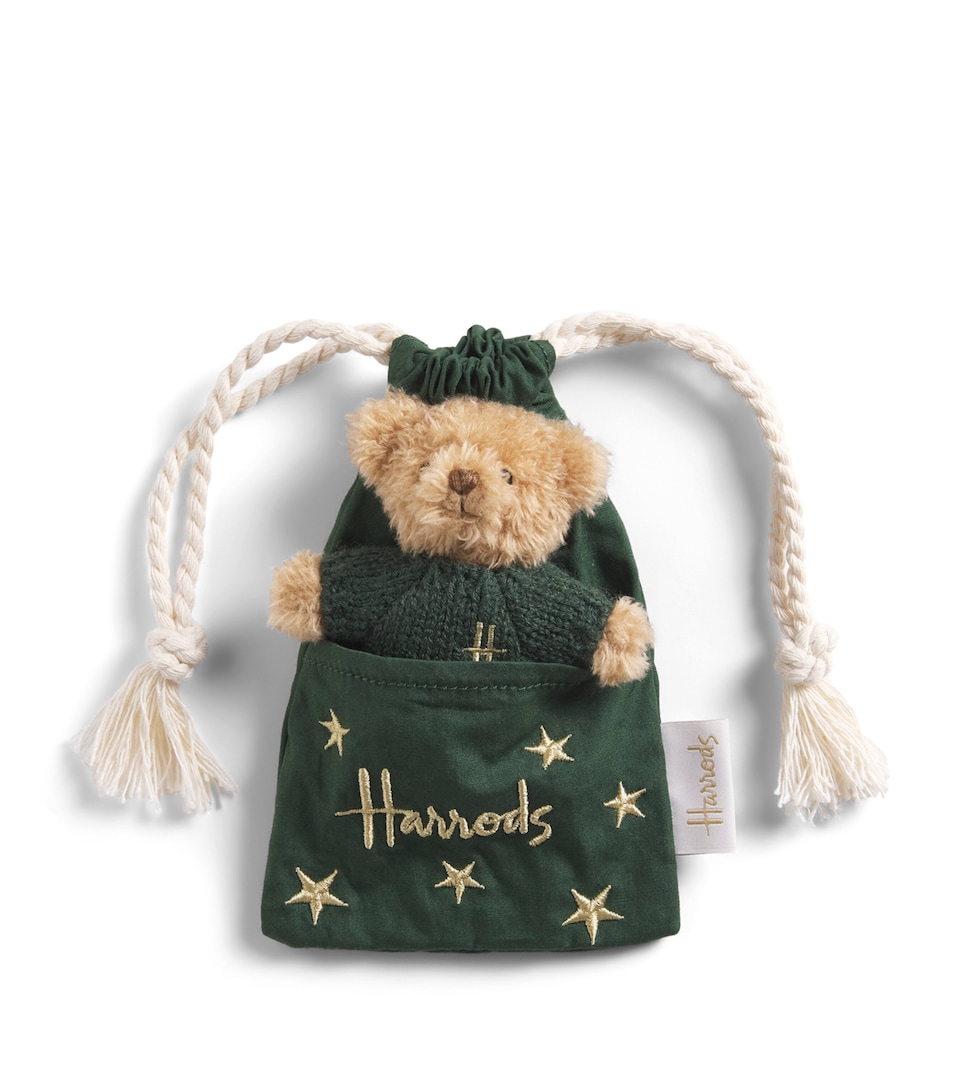 Harrods Bear in a Pouch Brown