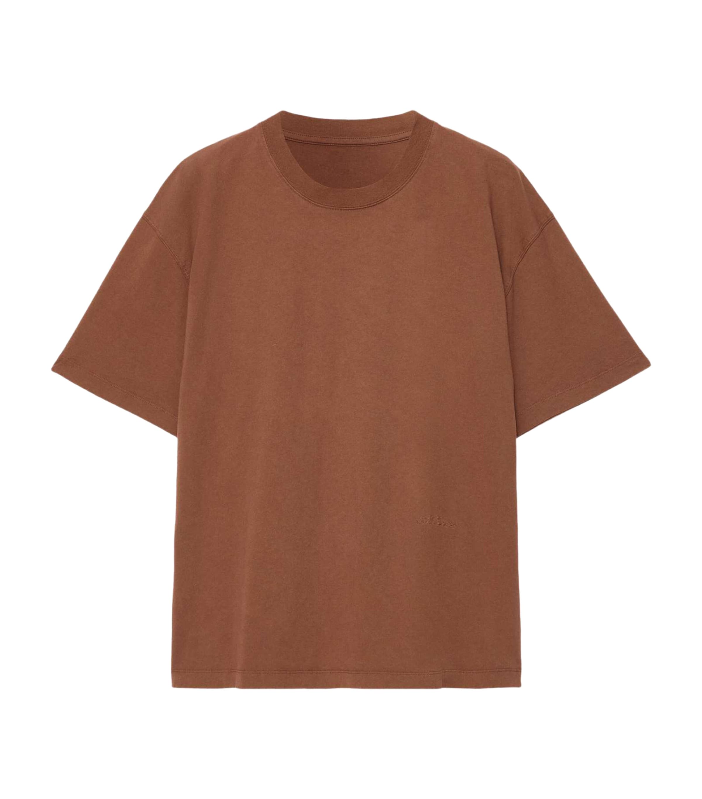 AllSaints Mens Organic Cotton Maddox T-Shirt Rust Orange