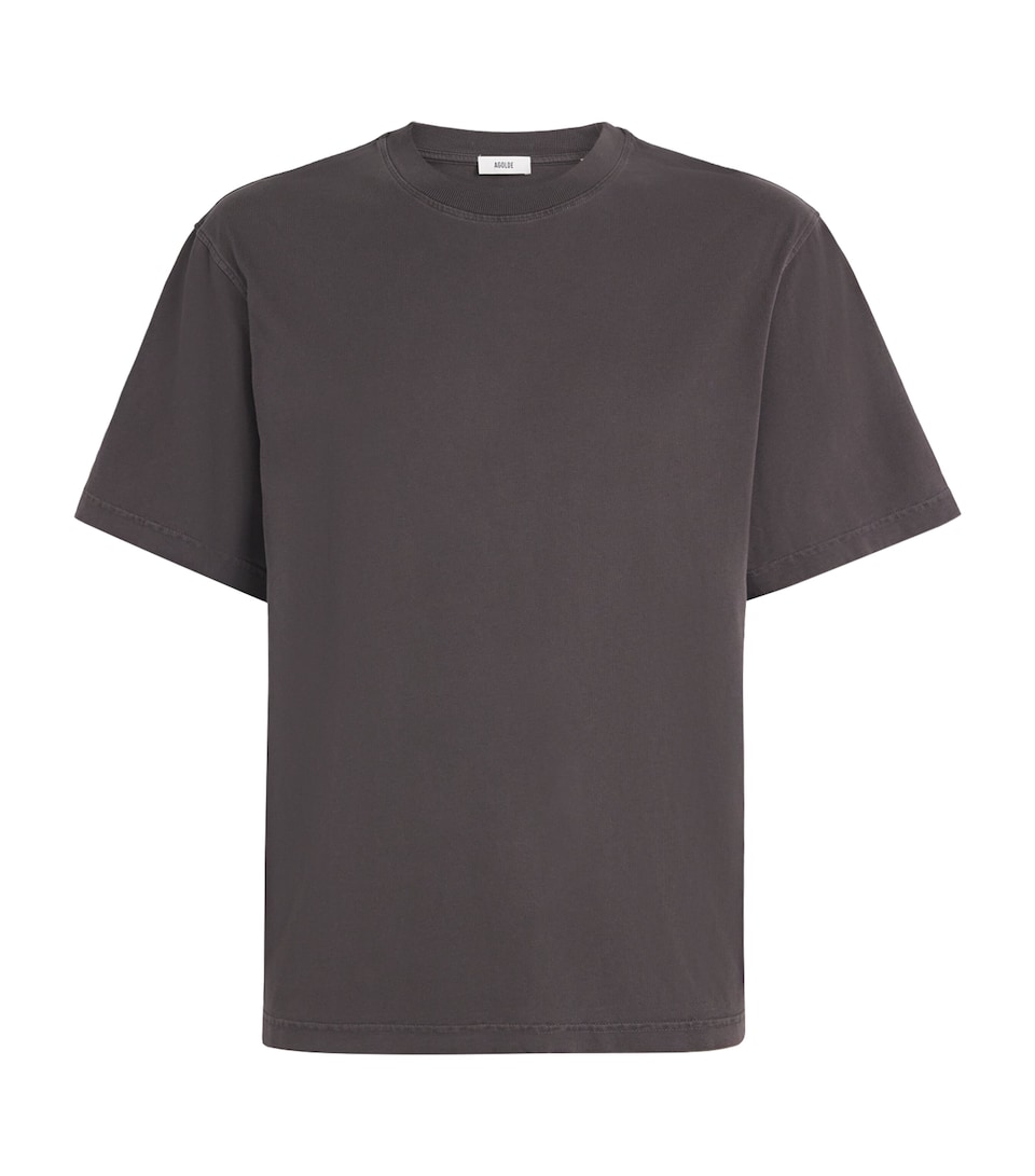AGOLDE Mens Cotton Asha T-Shirt Forge
