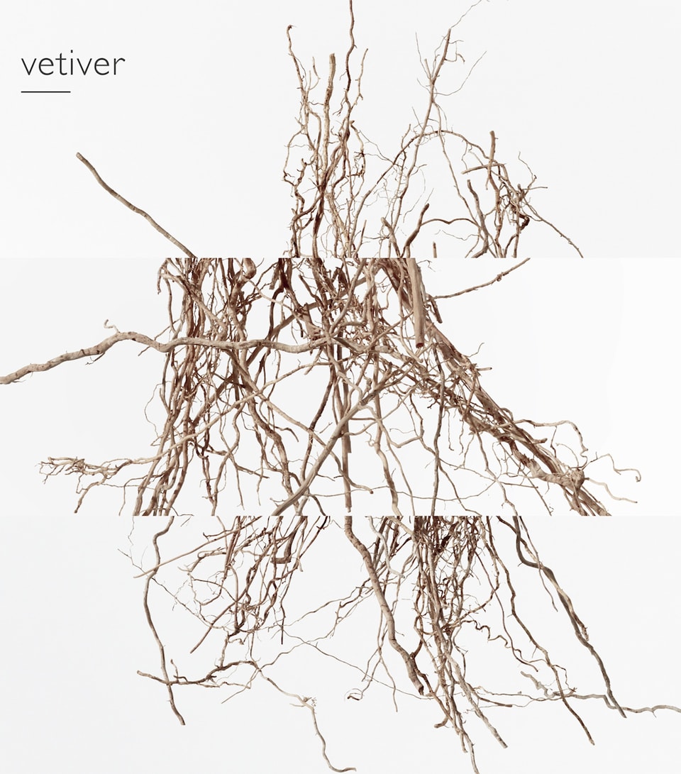 Terre d'Hermès Eau Intense Vétiver Eau de Parfum (200ml)