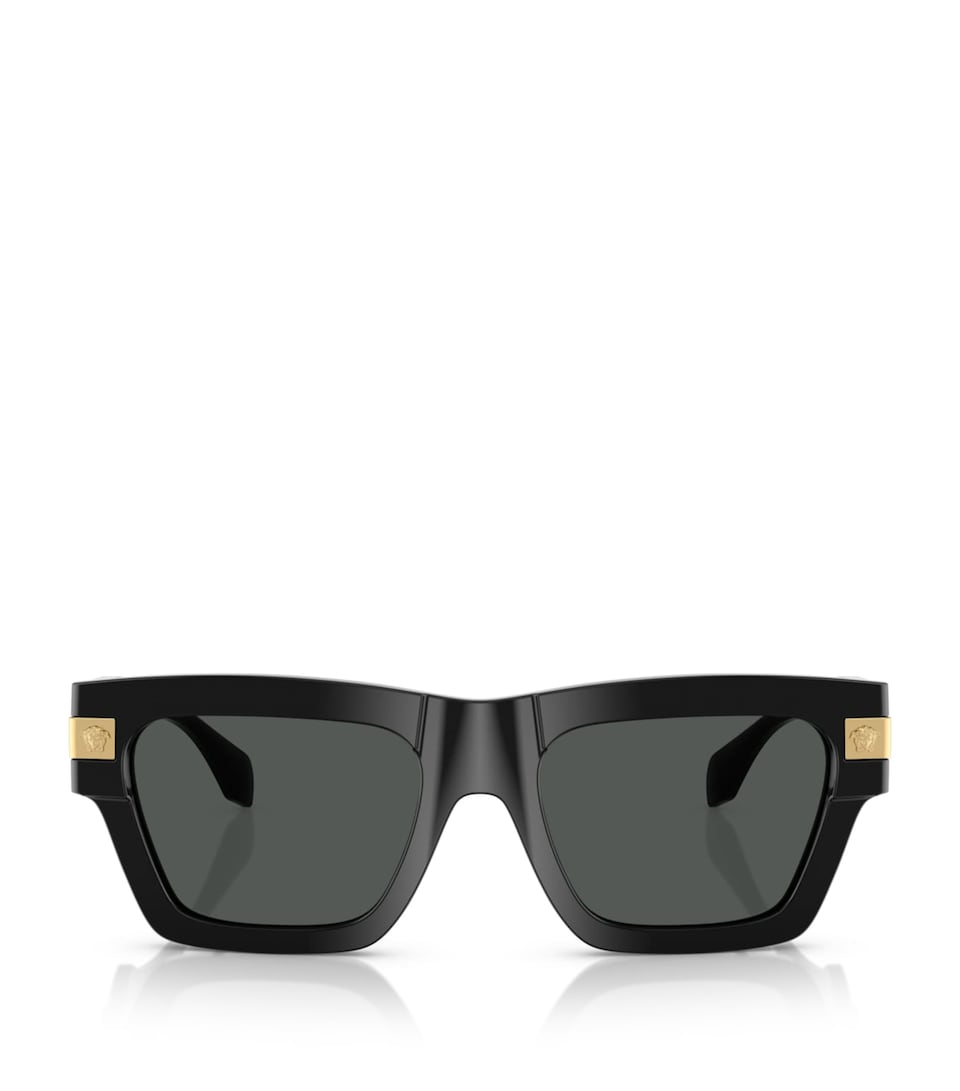 Nylon VE4464 Sunglasses