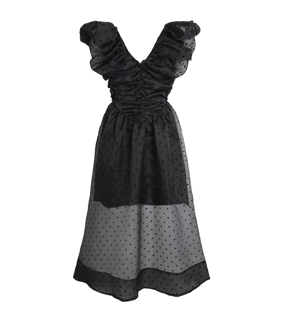 Organza Polka Dot Midi Dress