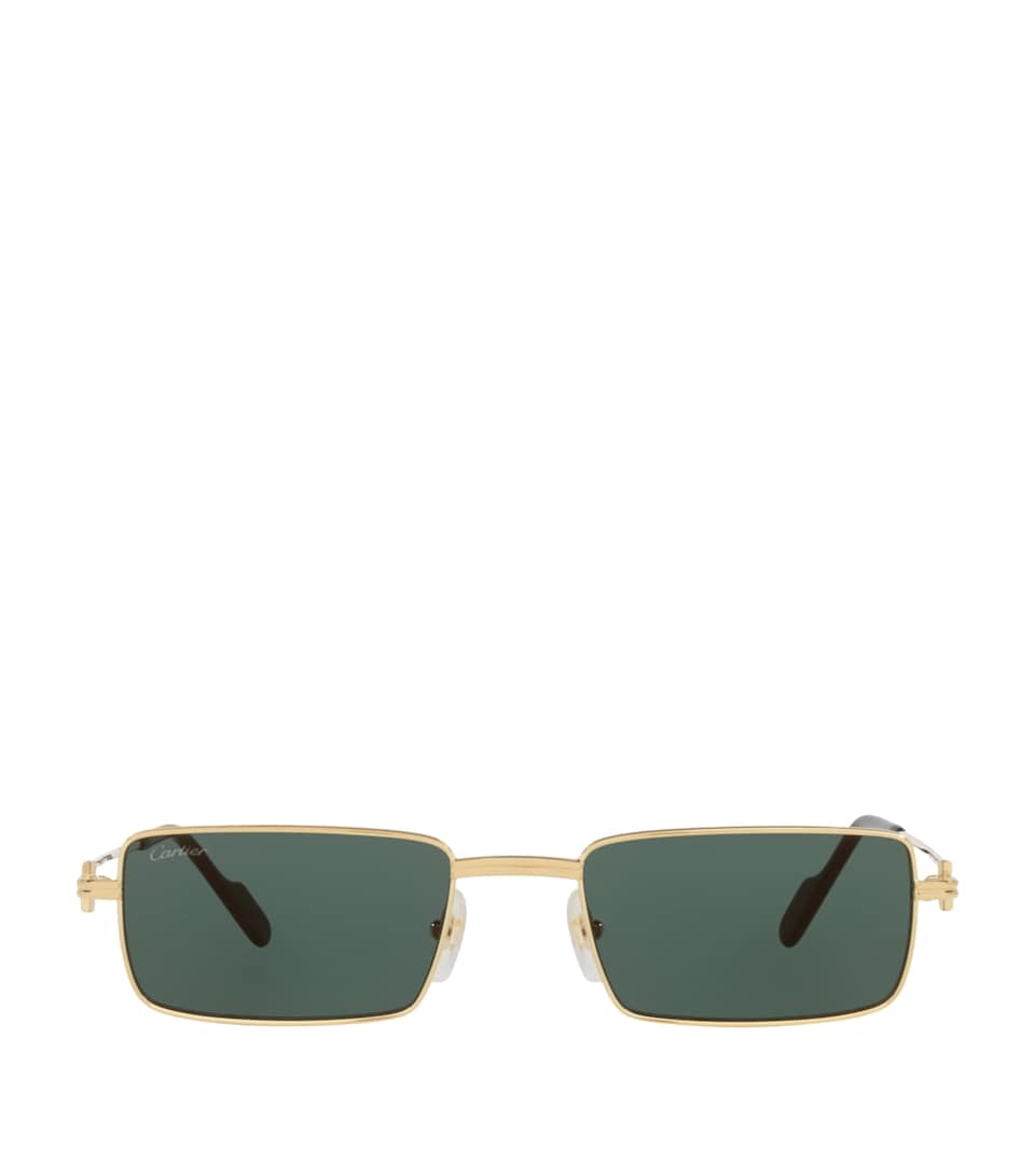 CT0501S Rectangular Sunglasses