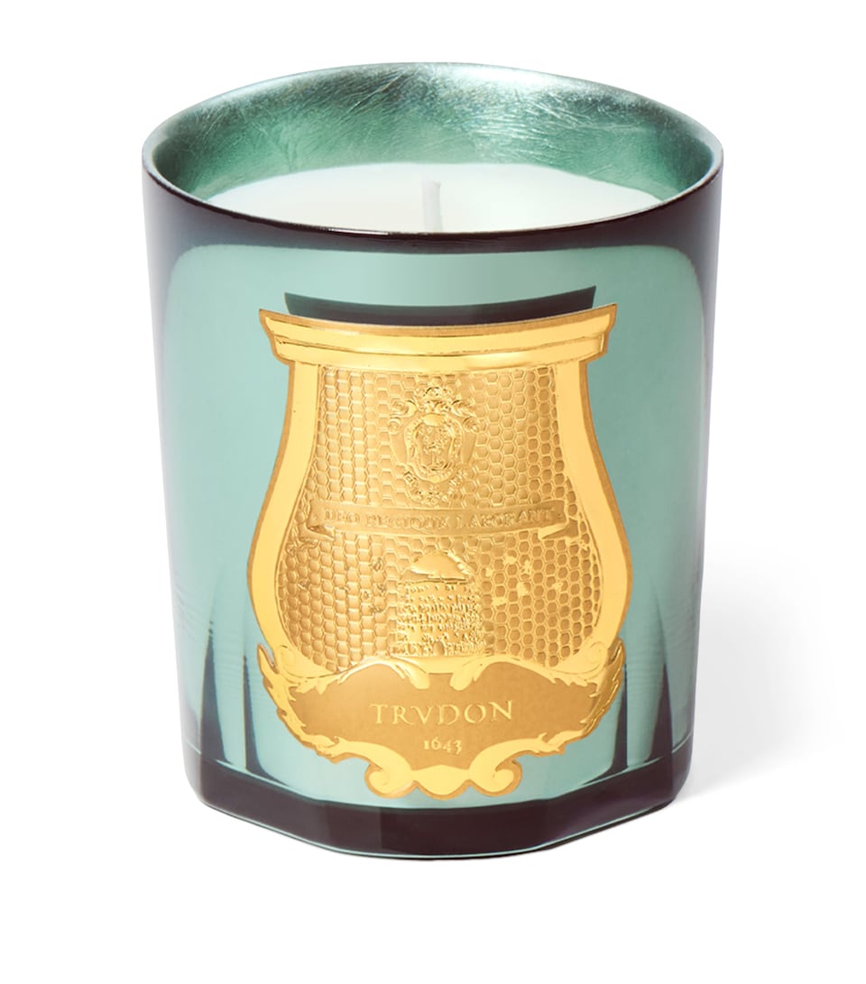 Trudon Fir Candle (270g) Celadon