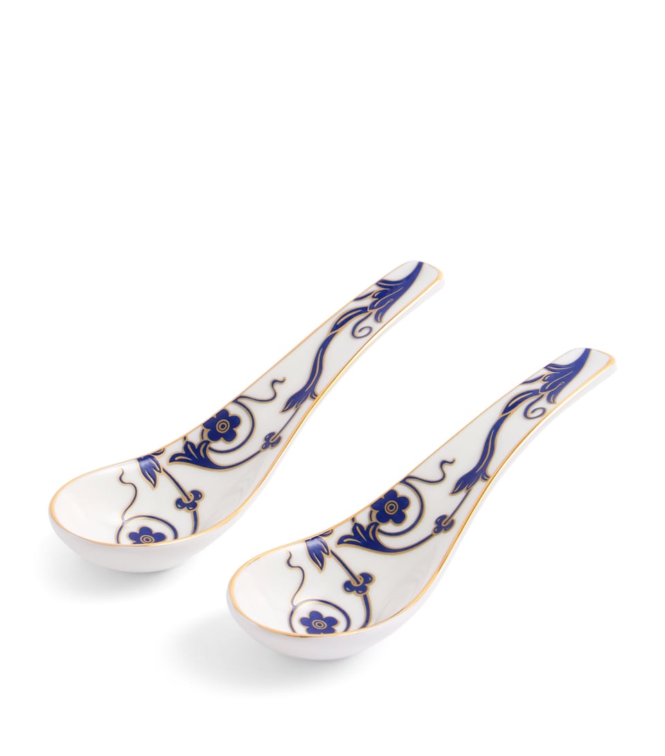 Set of 2 Soup Spoons