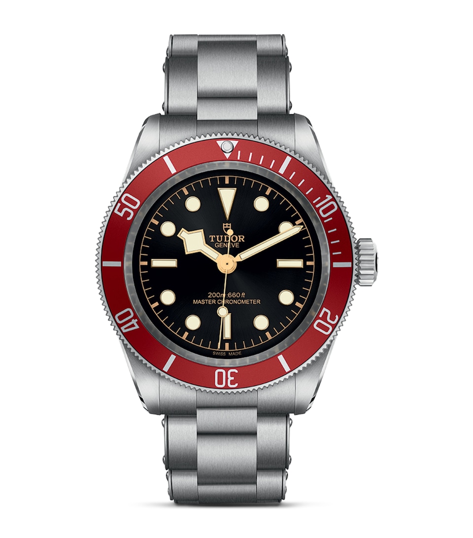 Stainless Steel Black Bay Watch 41mm