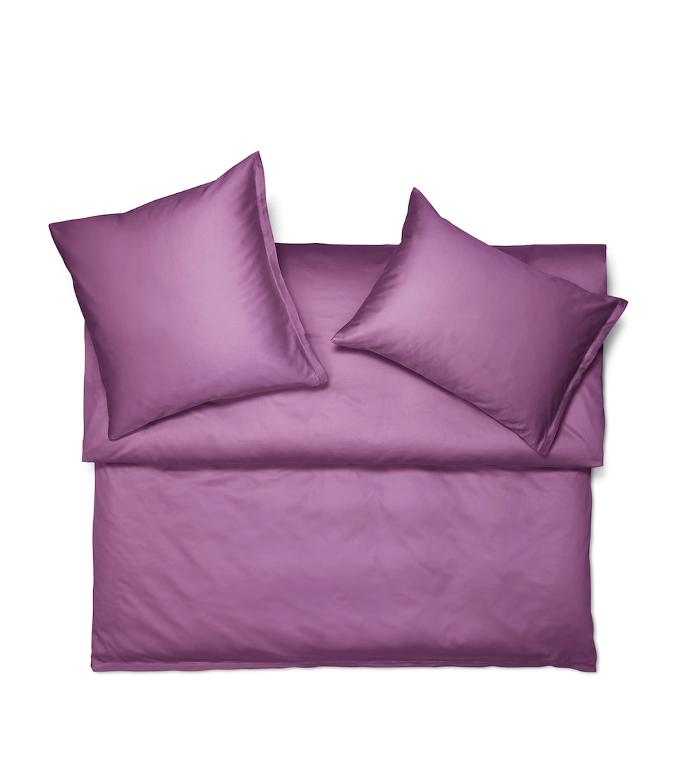Schlossberg Cotton Sateen Noblesse Uni King Fitted Sheet (180cm x 200cm) Viola