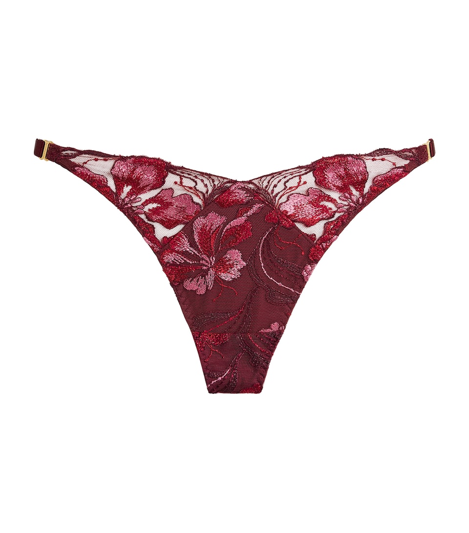 Bordelle Womens Ren Wide-Band Thong Morello