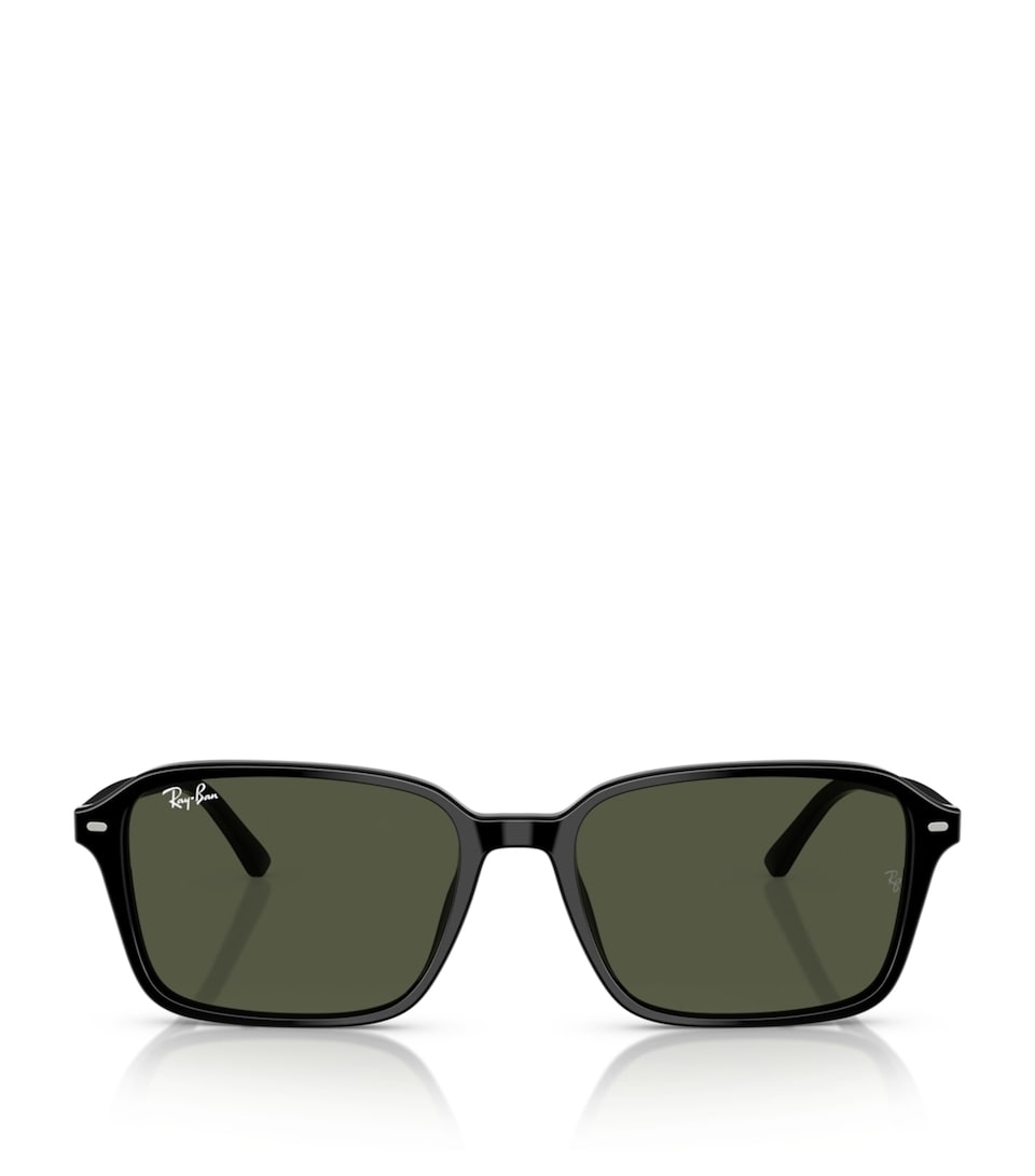 RB2231 Raimond Sunglasses