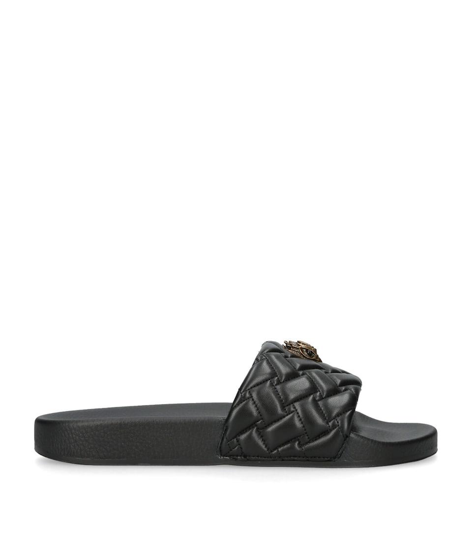 Meena Eagle Slides
