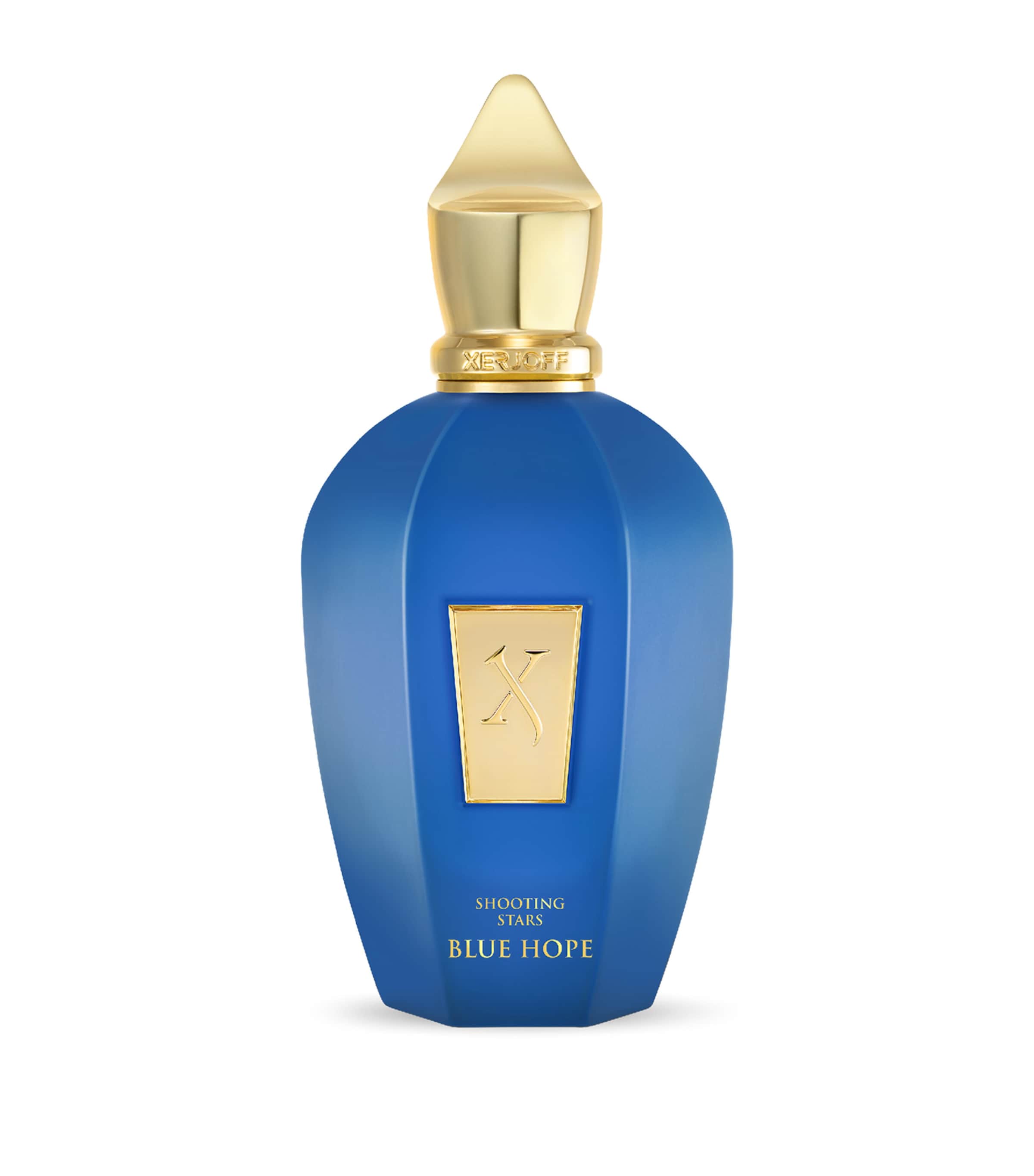 Blue Hope Eau de Parfum (100ml)