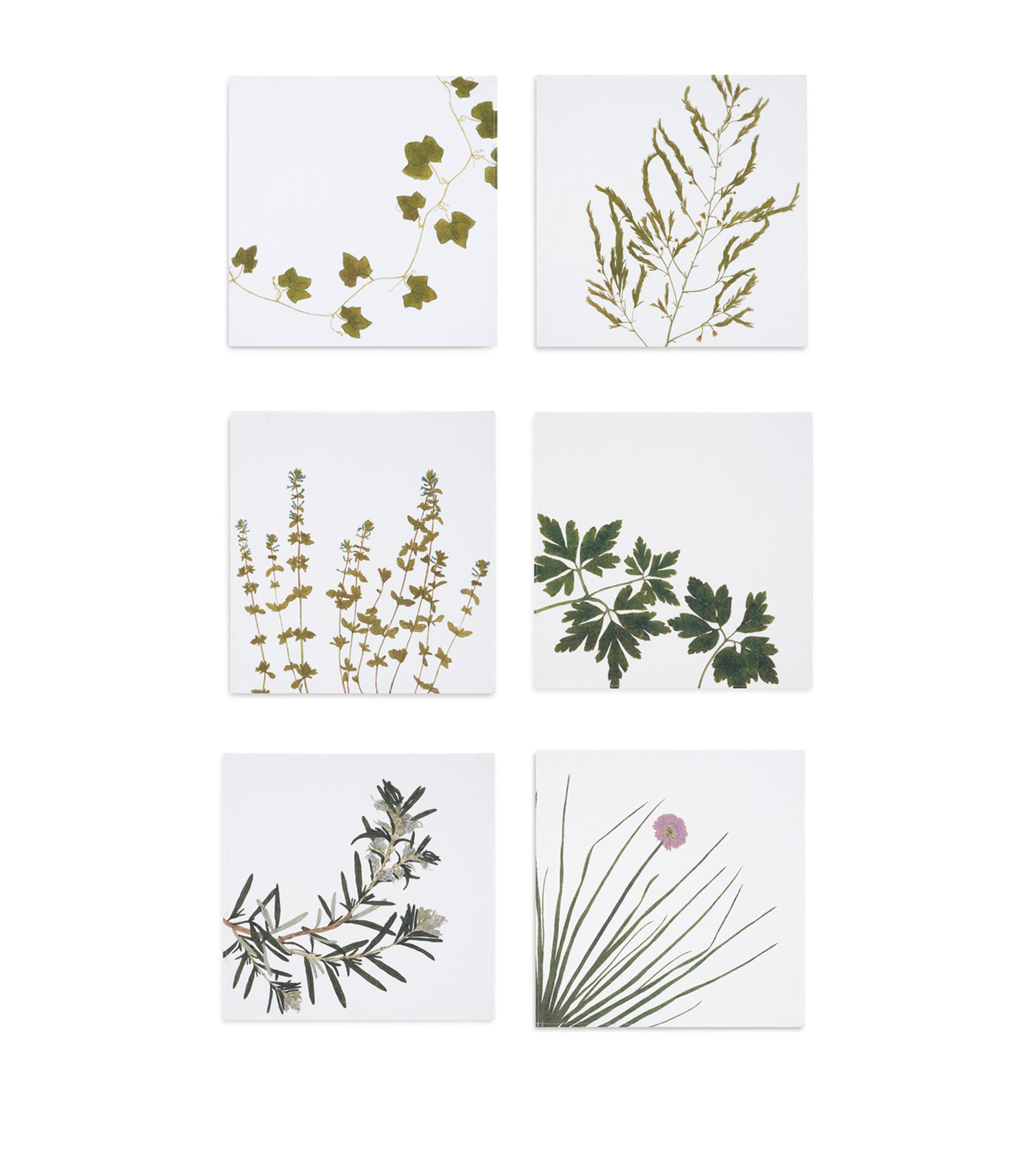 Set of 6 Linen Gastronomic Herb Garden Napkins (50cm x 50cm)