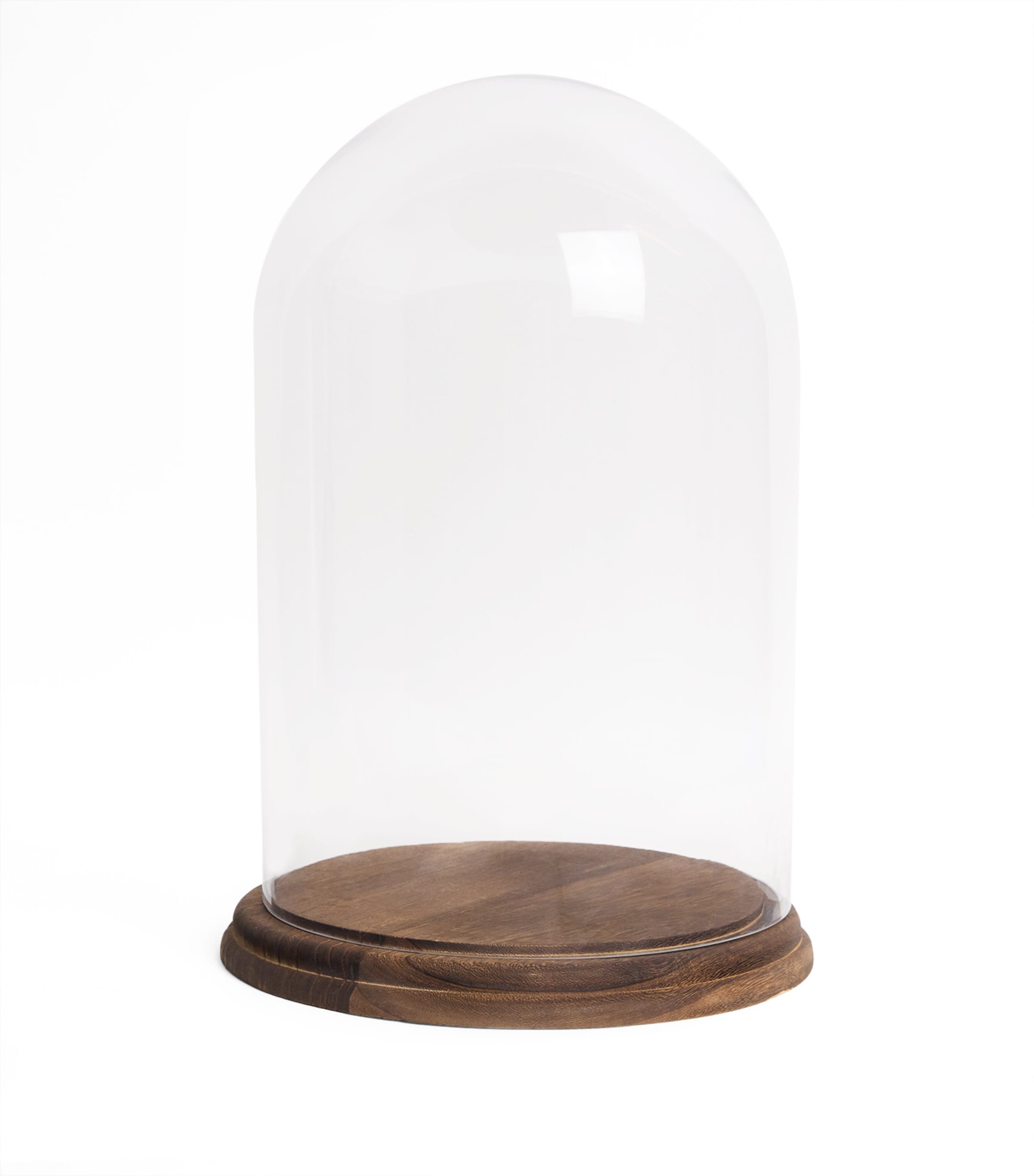 Glass Dome Ornament 38cm