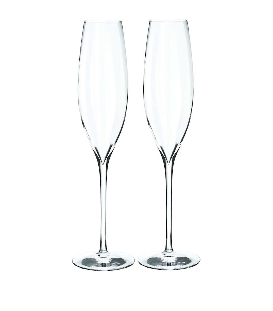 Set of 2 Elegance Optic Champagne Flutes (300ml)