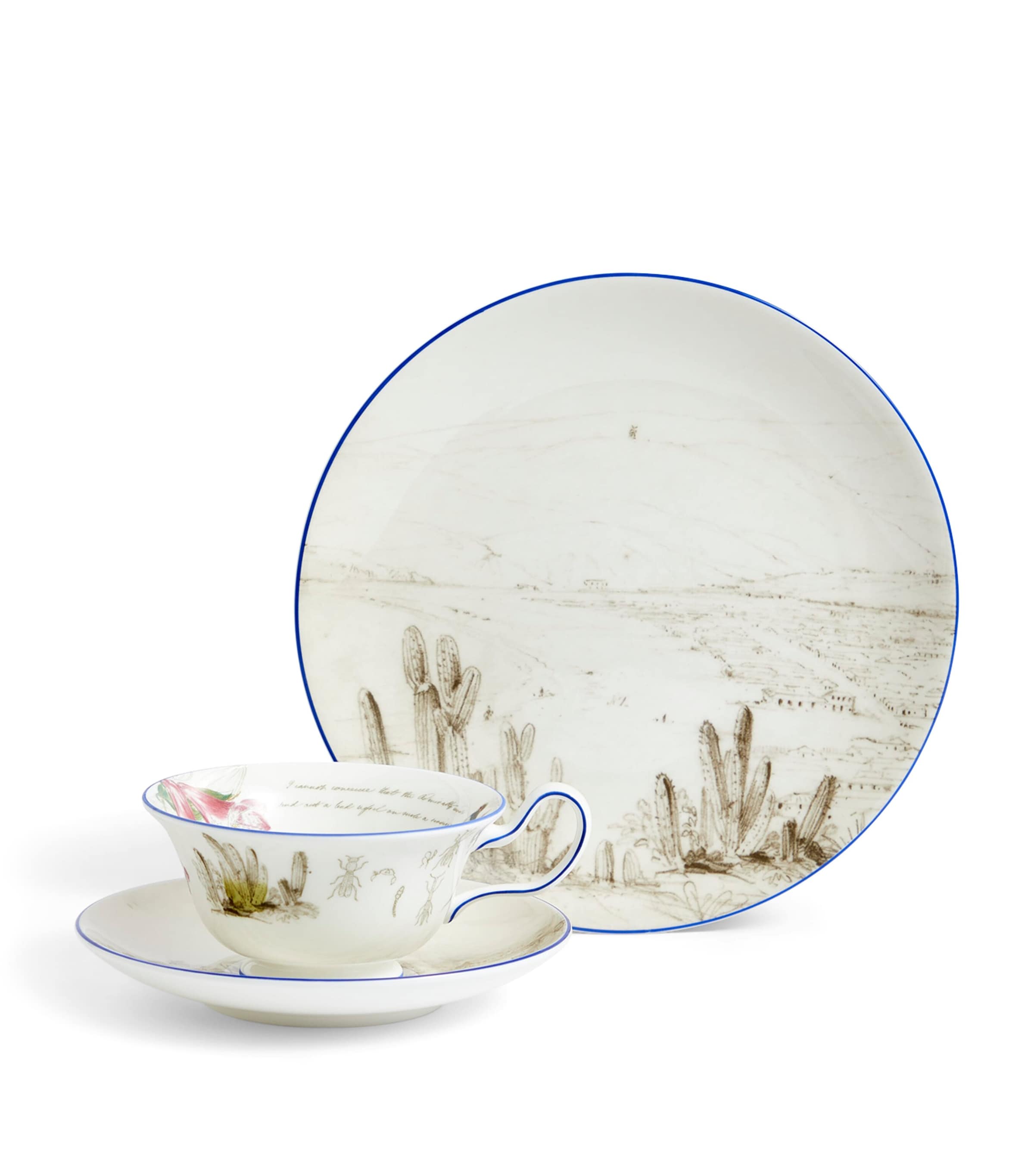 Voyage of the Beagle Chile Plate, Teacup and Saucer Set