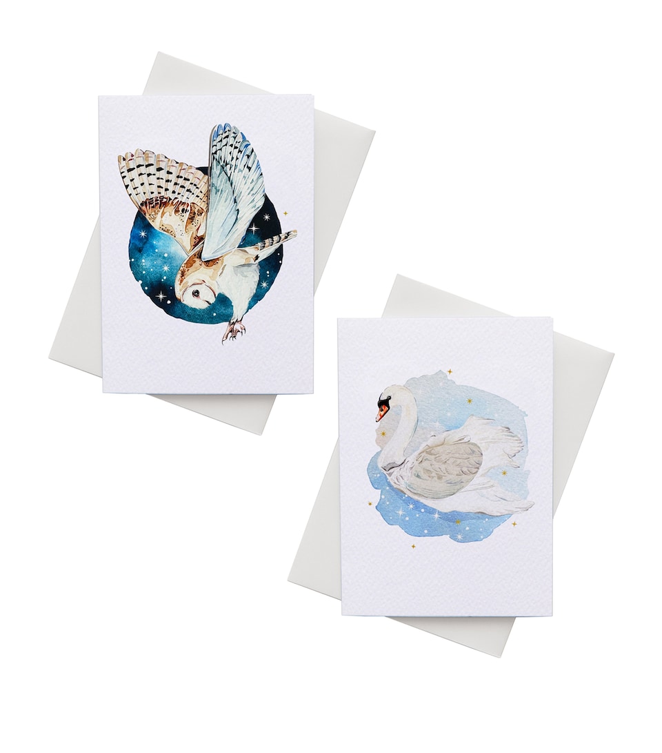 3D Owl and Swan Greeting Cards (Box of 6)