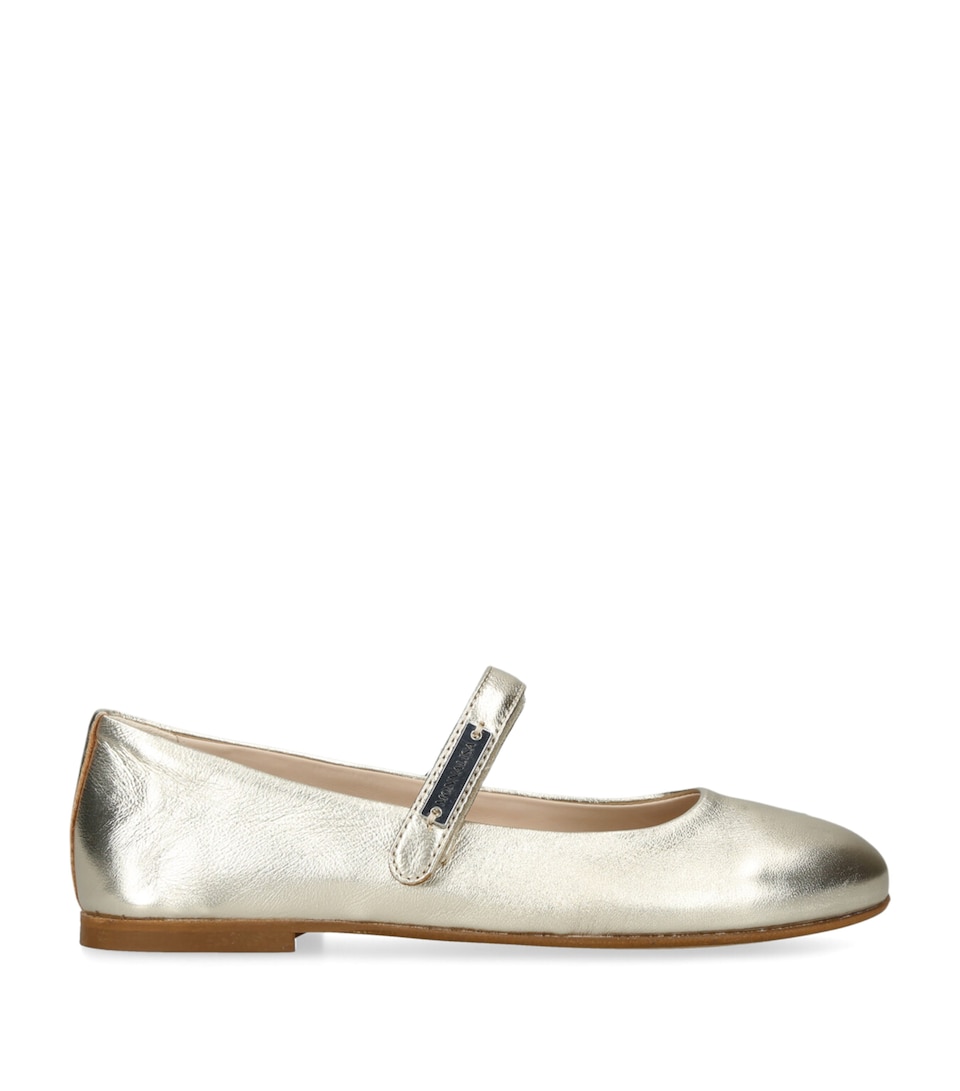 Metallic Ballet Flats