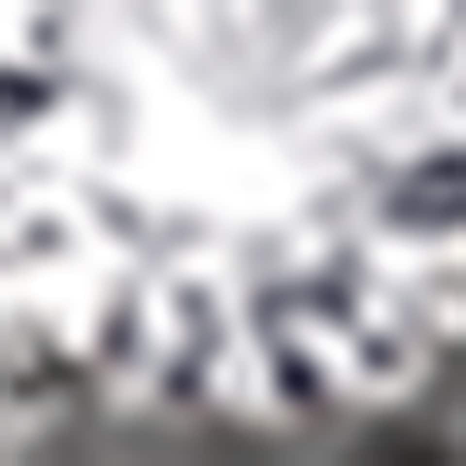 White Gold and Diamond Fiorever Necklace