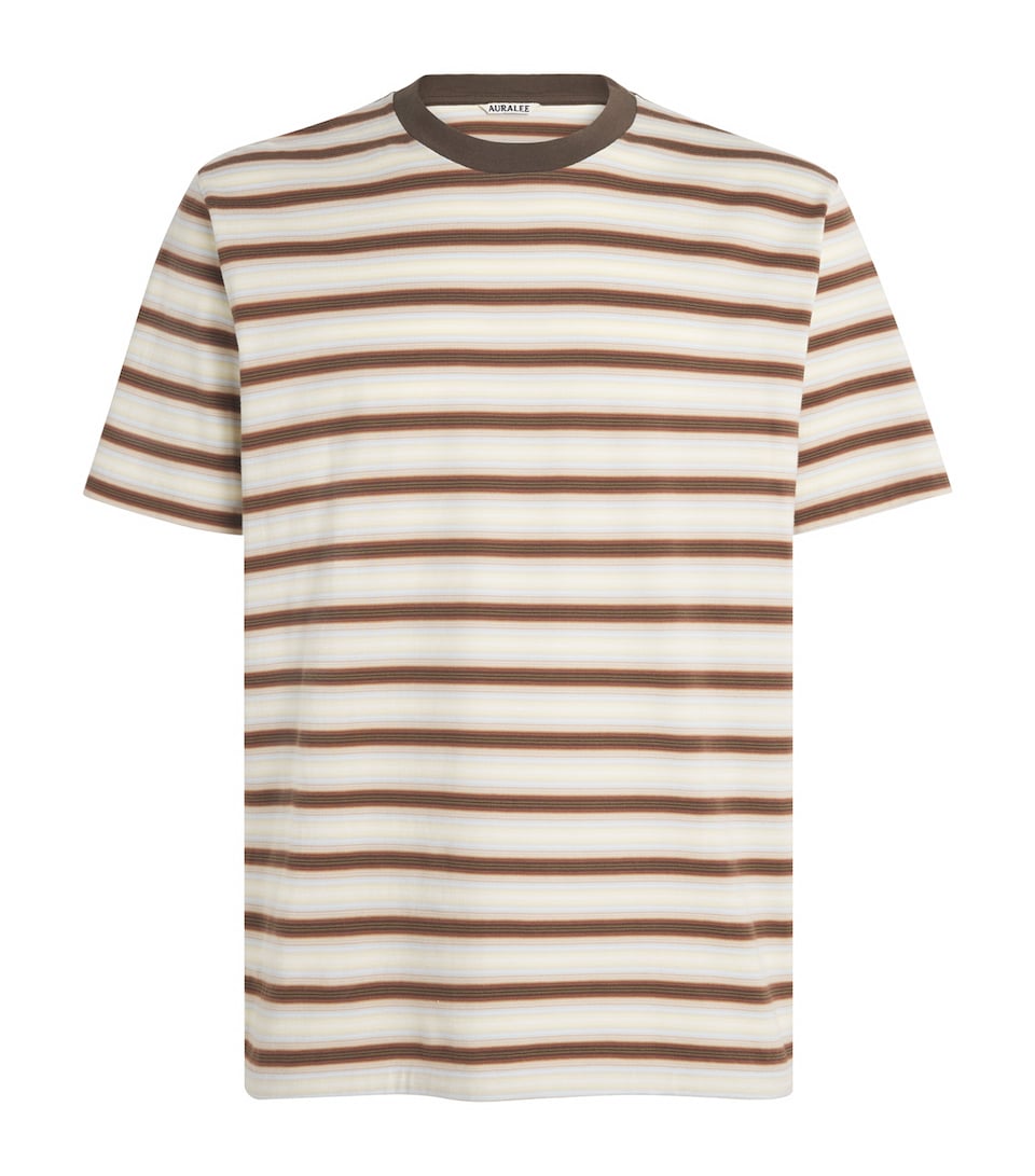 Auralee Mens Cotton Gradient Stripe T-Shirt Fade Brown Stripe