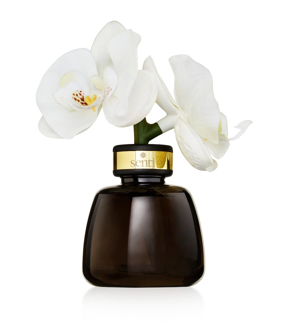 Senti Pepper & Spice The Little Orchid Diffuser (100ml) White
