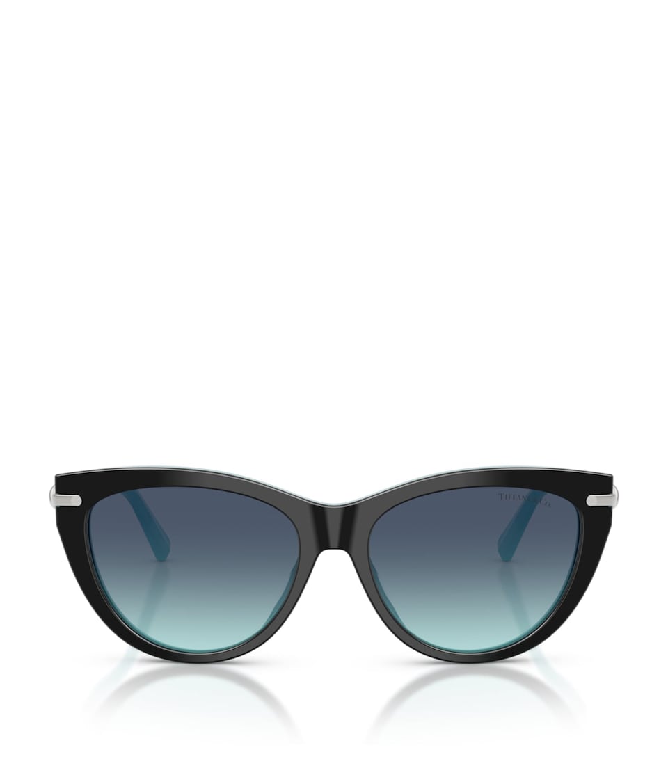 Acetate Cat Eye TF4253 Sunglasses
