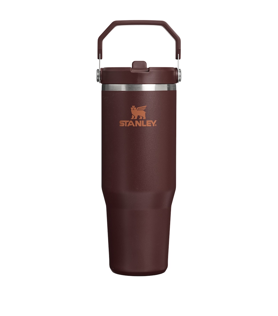 Stanley The IceFlow Flip Straw 2.0 Tumbler (0.89L) Coffee