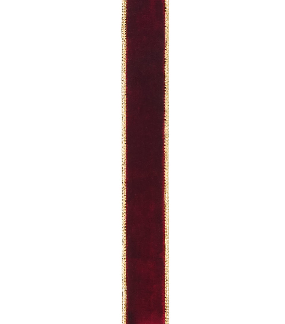 Velvet Dupioni Trim Ribbon