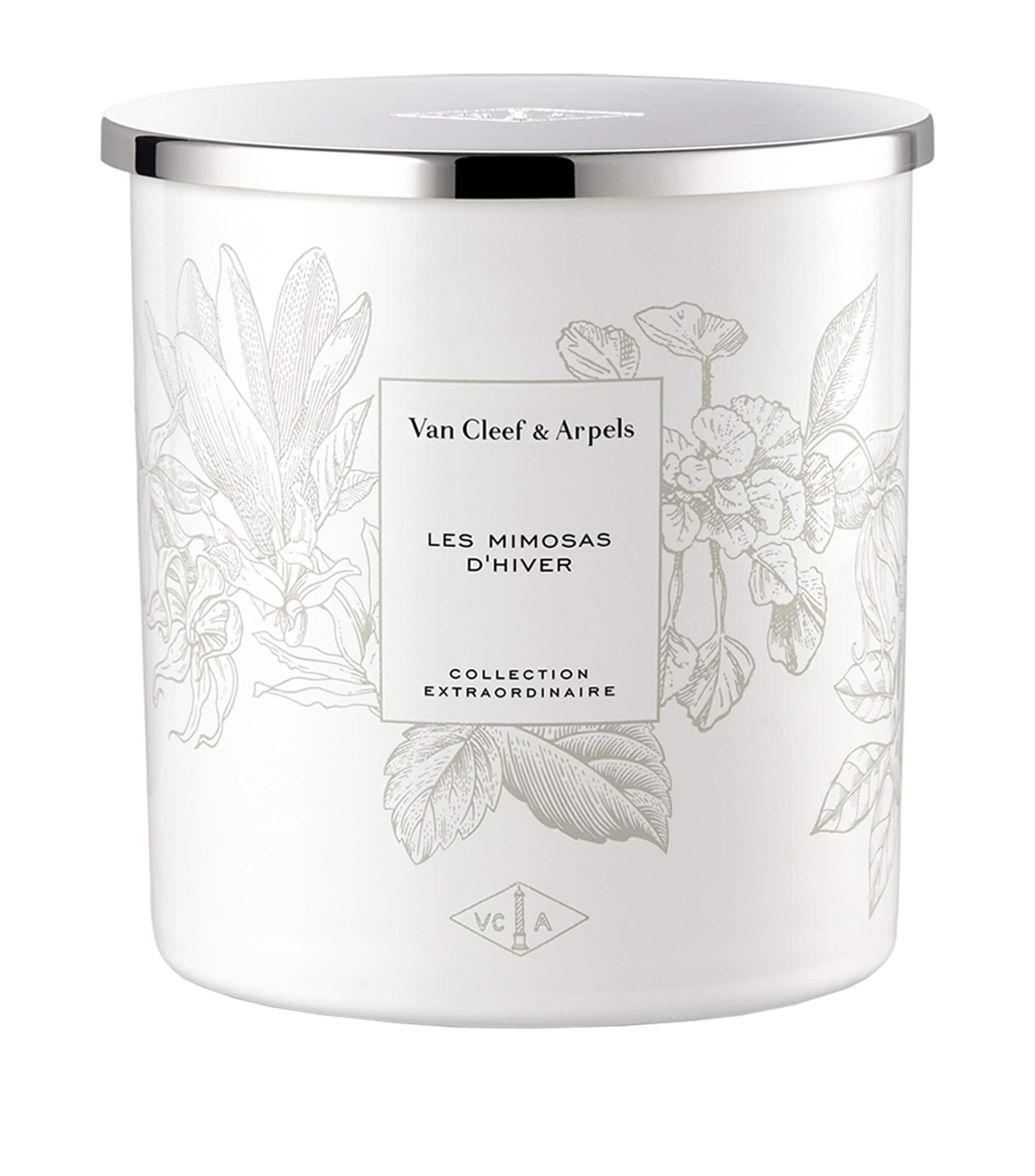 Collection Extraordinaire Les Mimosas D'Hiver Candle (240g)