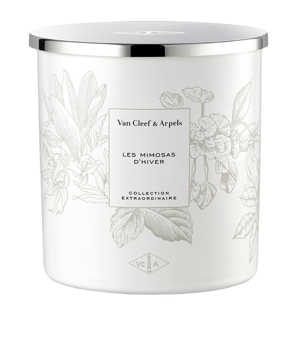 Collection Extraordinaire Les Mimosas D'Hiver Candle (240g)