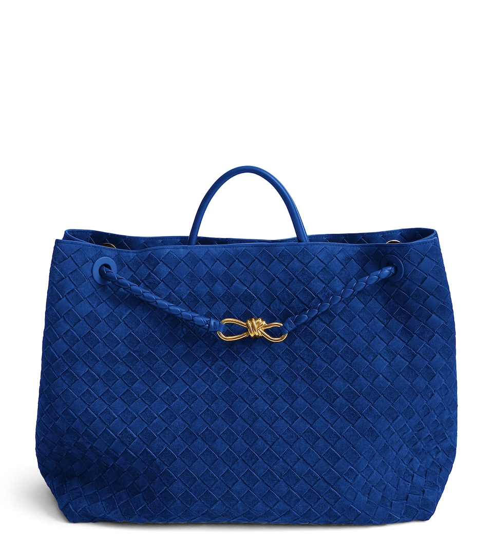 Bottega Veneta Large Suede Andiamo Top-Handle Bag