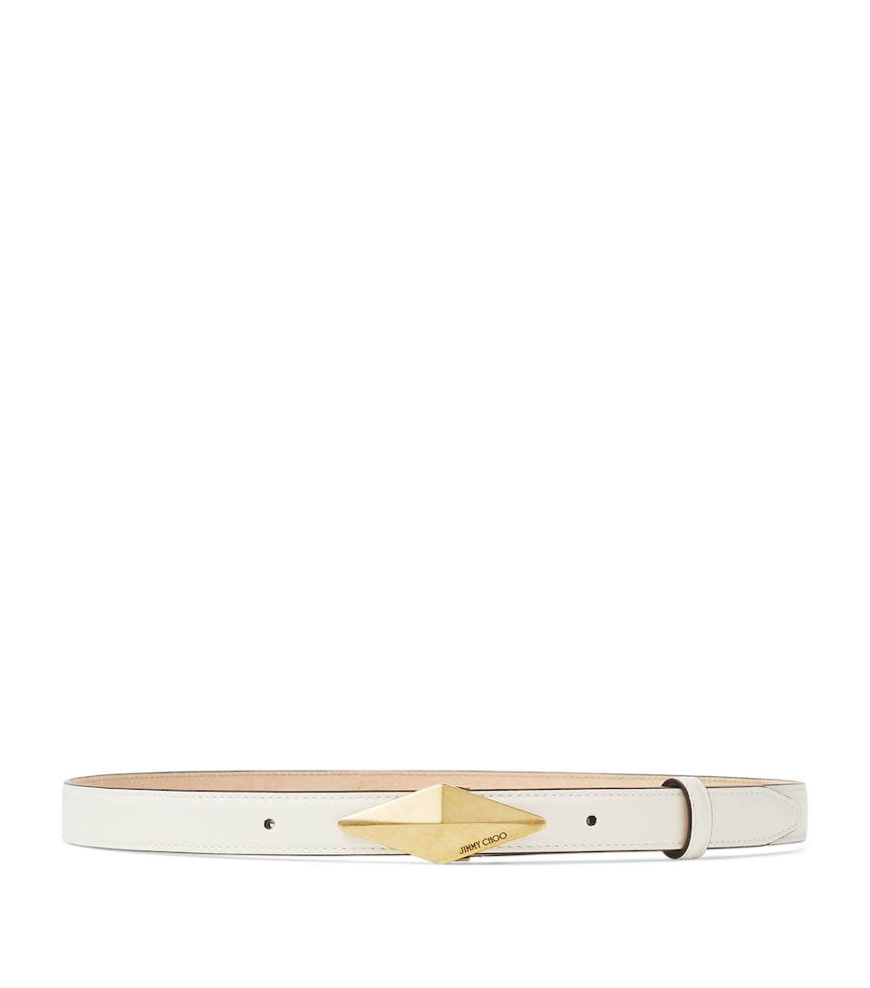 Diamond Clasp Belt