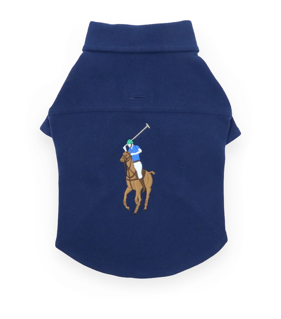 Mesh Cotton Polo Pony Dog Shirt (Extra Small)