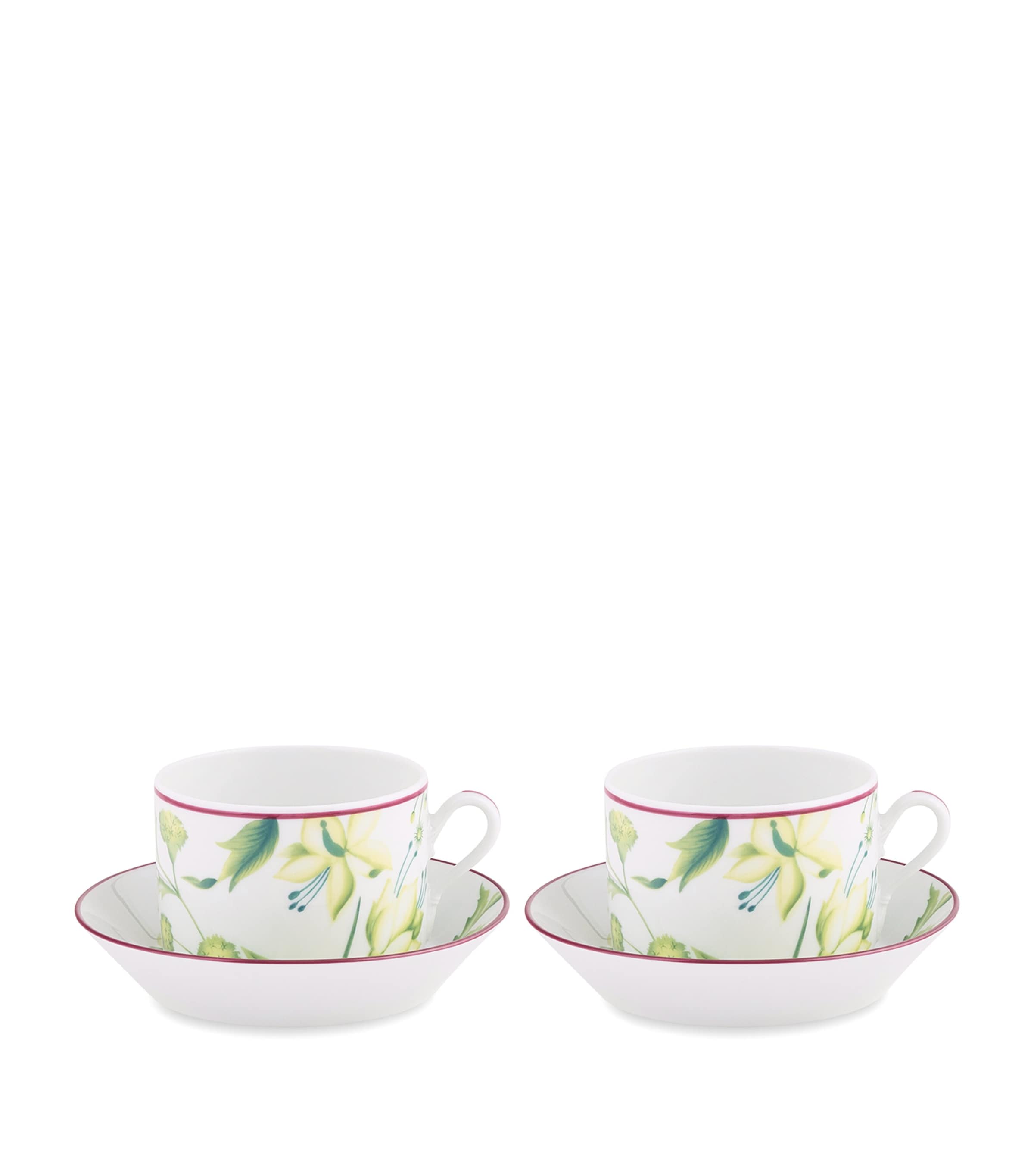 GINORI 1735 Florenza Teacup and Saucer (Set of 2)