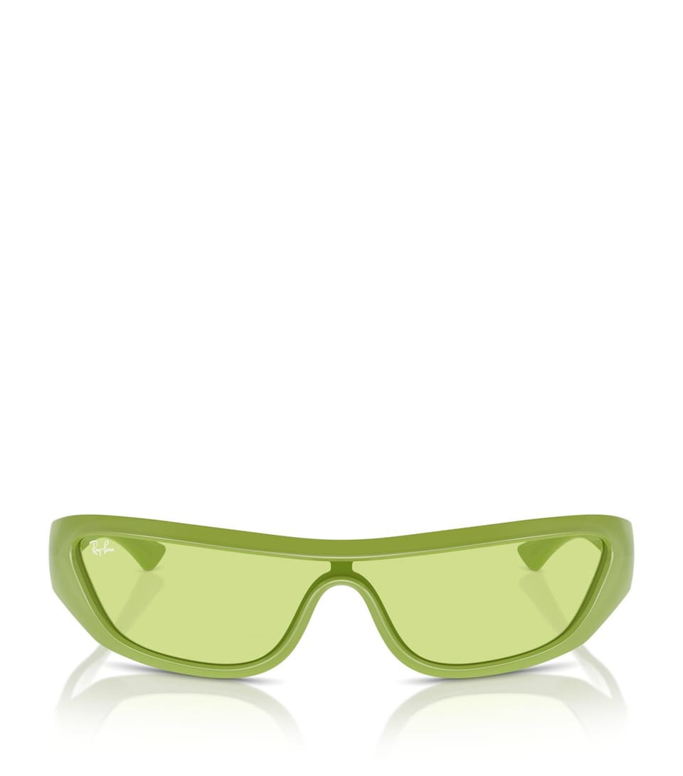 RB4431 Xan Sunglasses