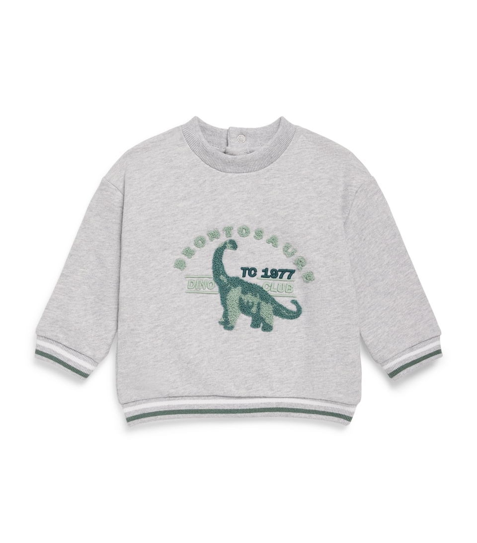 Dinosaur Sweatshirt (3 Months - 4 Years)
