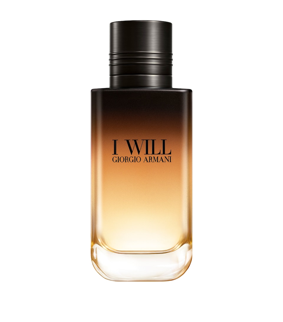 Armani I Will Eau de Parfum (100ml)