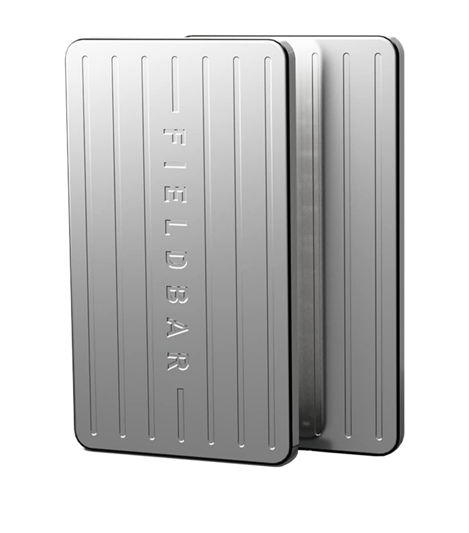 Stainless Steel Ice Bars (Set of 2)