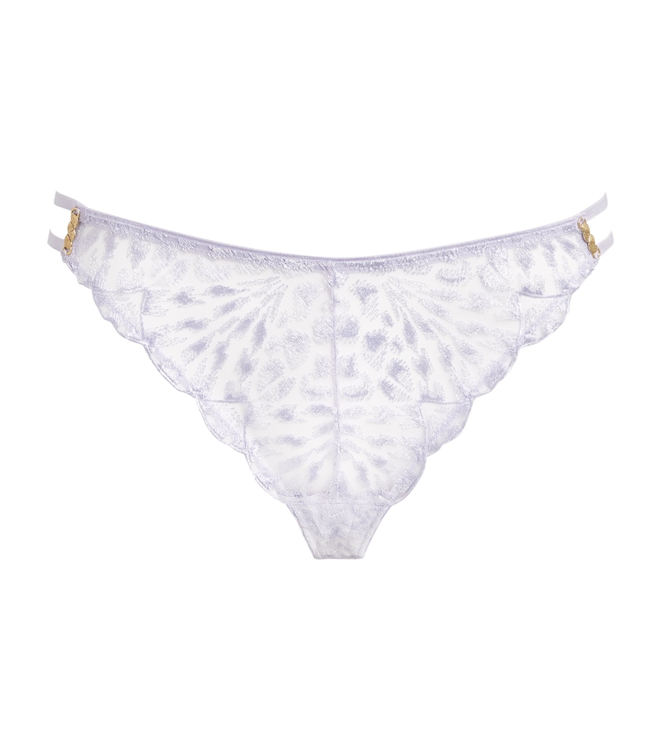 Aubade Womens Cotton Crazy in Love Tanga Wisteria
