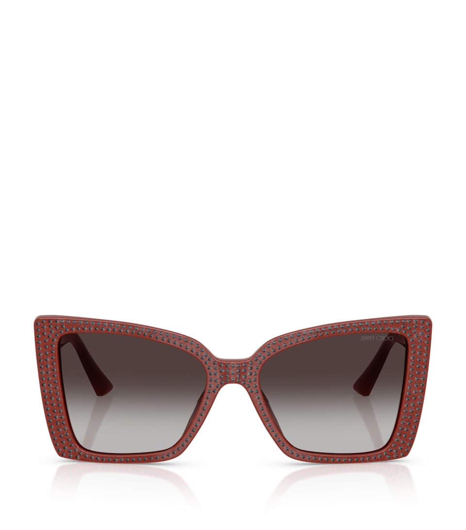 Jimmy Choo Acetate Butterfly Sunglasses